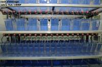 exemple d'un rack zebra fish